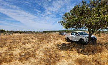 Se vende Parcela de 5.000 m2 en Mallermo, Marchigue