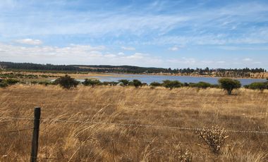 Se vende Parcela de 5.000 m2 en Mallermo, Marchigue