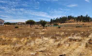 Se vende Parcela de 5.000 m2 en Mallermo, Marchigue