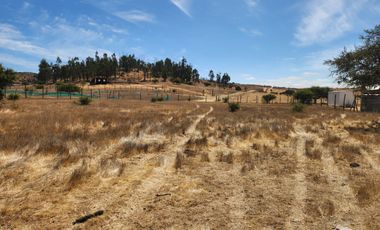 Se vende Parcela de 5.000 m2 en Mallermo, Marchigue