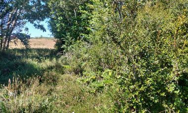 Vende Parcelas en Maullin, Puerto Montt