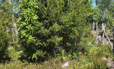 Vende Parcelas en Maullin, Puerto Montt