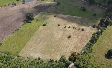VENTA DE LOTES DE 1000 M2