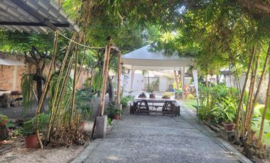 HERMOSOS DEPARTAMENTO DE TRES HABITACIONES