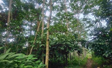 kavling 1.299m di desa Meteseh, Boja, Kendal