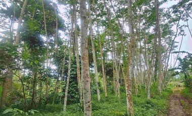 kavling 1.299m di desa Meteseh, Boja, Kendal