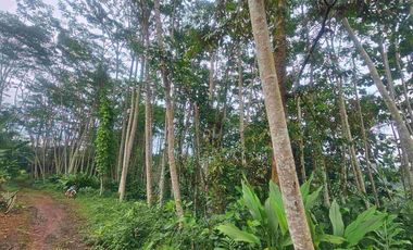 kavling 1.299m di desa Meteseh, Boja, Kendal