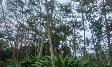 kavling 1.299m di desa Meteseh, Boja, Kendal