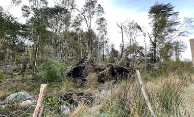 ¡Oportunidad! Vende parcela CON PIE Y CREDITO DIRECTO, Monte Verde, Puerto Montt