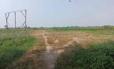 TANAH MURAH 1479m2 TEPI JALAN RAYA ONGGORAWE SAYUNG DEMAK
