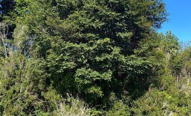 ¡Oportunidad! Vende parcela soleada, sector Ilque, Puerto Montt.