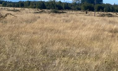 ¡Oportunidad! Vende parcela soleada, sector Ilque, Puerto Montt.