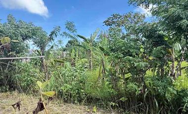 DIJUAL TANAH VIEW GWK – UNGASAN, KUTA SELATAN BALI