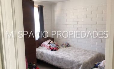 Rio Puelche - El Pangue - Puente Alto