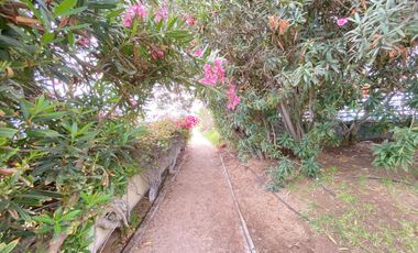 SE ARRIENDA DEPTO AMOBLADO EN EDIFICIO ARAUCARIA.
