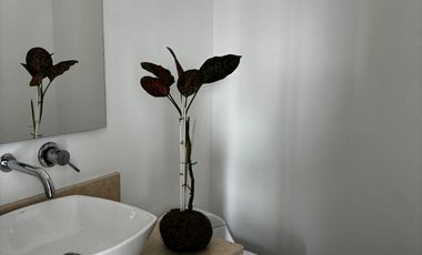 Renta HERMOSO Apartamento vacío Poblado