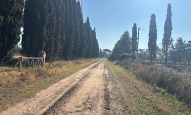 Amplio lote de 2,5 has rurales ideal amplia quinta o chacra