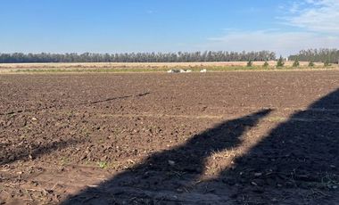 Amplio lote de 2,5 has rurales ideal amplia quinta o chacra