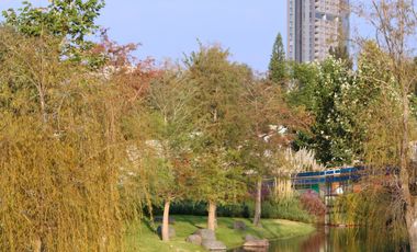TERRENO EN VENTA ZONA ANDARES EN PASEO DE GRACIA
