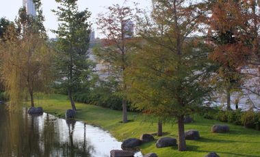 TERRENO EN VENTA ZONA ANDARES EN PASEO DE GRACIA