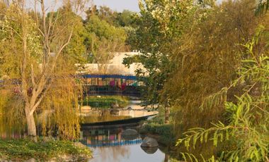 TERRENO EN VENTA ZONA ANDARES EN PASEO DE GRACIA