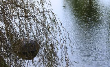 TERRENO EN VENTA ZONA ANDARES EN PASEO DE GRACIA