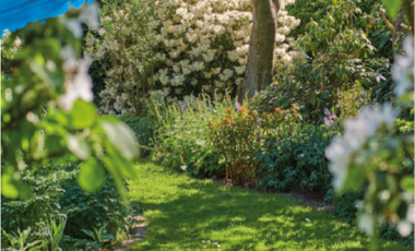 TERRENO EN VENTA ZONA ANDARES EN PASEO DE GRACIA