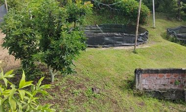 espectacular finca en venta filadelfia caldas