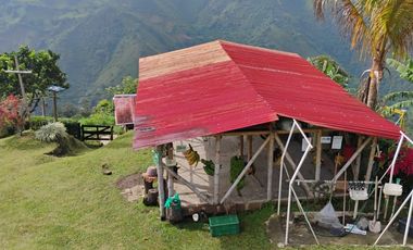 espectacular finca en venta filadelfia caldas