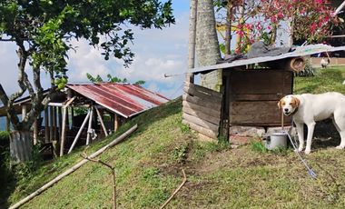 espectacular finca en venta filadelfia caldas