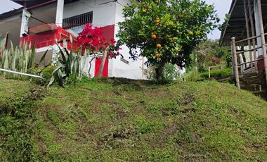 espectacular finca en venta filadelfia caldas