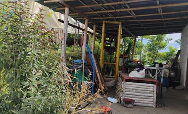 espectacular finca en venta filadelfia caldas