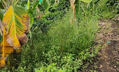 espectacular finca en venta filadelfia caldas