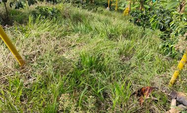 espectacular finca en venta filadelfia caldas