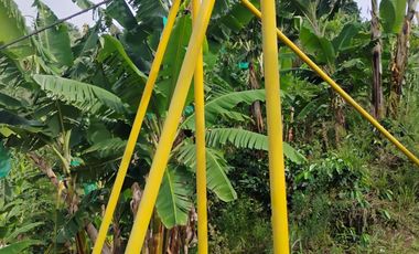 espectacular finca en venta filadelfia caldas
