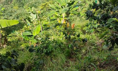 espectacular finca en venta filadelfia caldas