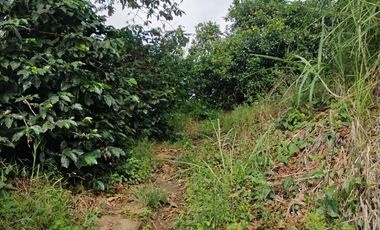 espectacular finca en venta filadelfia caldas