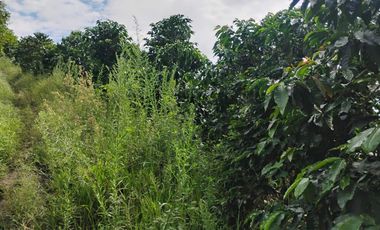 espectacular finca en venta filadelfia caldas