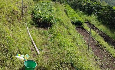 espectacular finca en venta filadelfia caldas