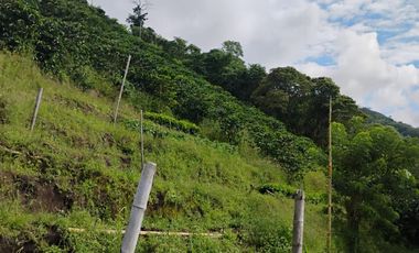 espectacular finca en venta filadelfia caldas