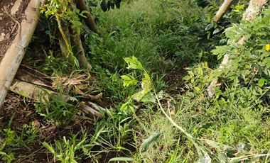 espectacular finca en venta filadelfia caldas