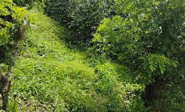 espectacular finca en venta filadelfia caldas