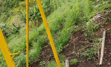 espectacular finca en venta filadelfia caldas