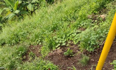 espectacular finca en venta filadelfia caldas