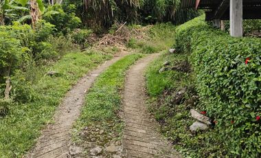 espectacular finca en venta filadelfia caldas