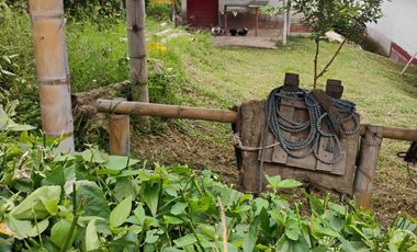 espectacular finca en venta filadelfia caldas