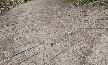 espectacular finca en venta filadelfia caldas