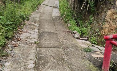 espectacular finca en venta filadelfia caldas
