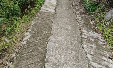 espectacular finca en venta filadelfia caldas