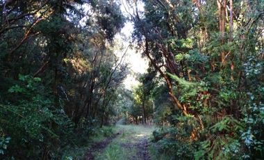 Hermosas Parcelas Condominio Los Aromos UF 3.500